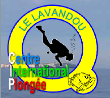 INTERNATIONAL CENTER OF DIVING LAVANDOU